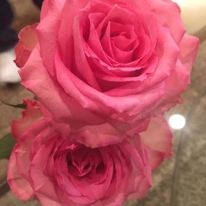 Meet your Posher, Margie